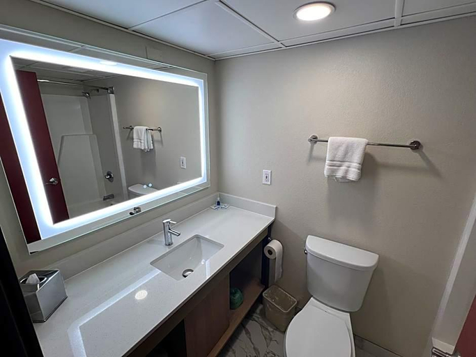 Bathroom 4, Rodeway Inn Little Falls, Herkimer