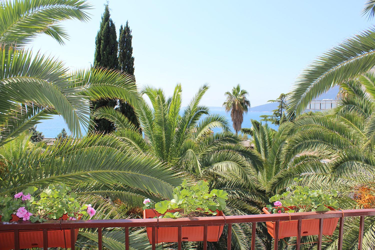 Others 5, Apartmani i sobe Goca