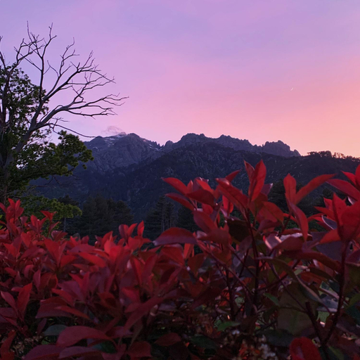 Others 4, Gite Chez Pierrot, Haute-Corse