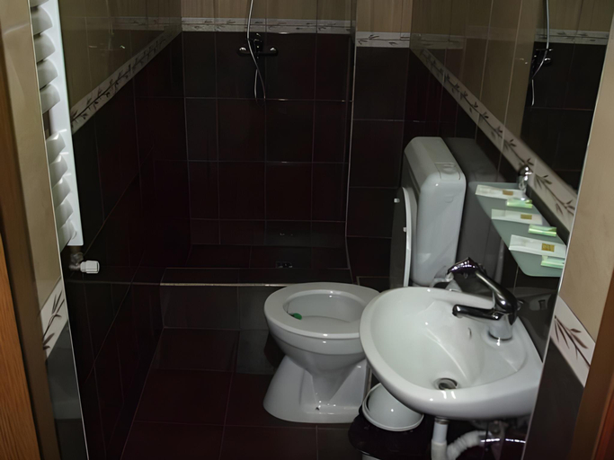 Bathroom 4, Pensiunea Ana Maria, Sanmartin
