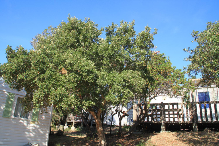 4, Location de chalet Meremaki, Corse-du-Sud