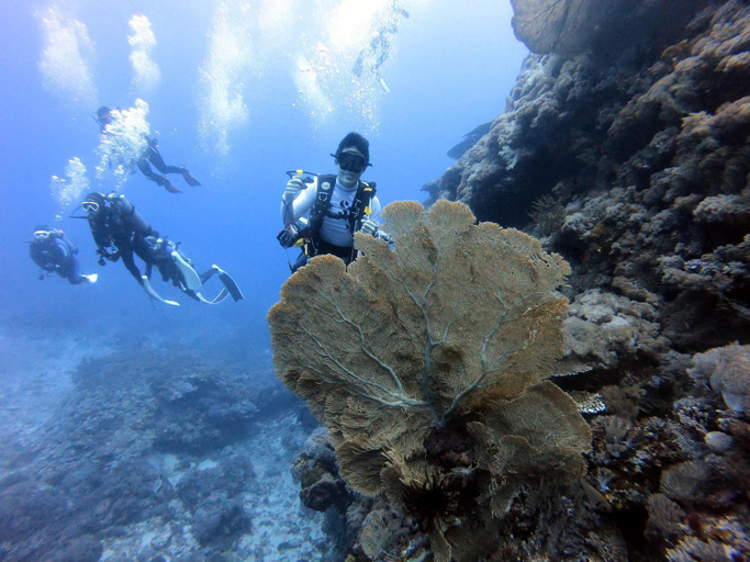 Others 5, Oceans Explore Hostel, Taitung