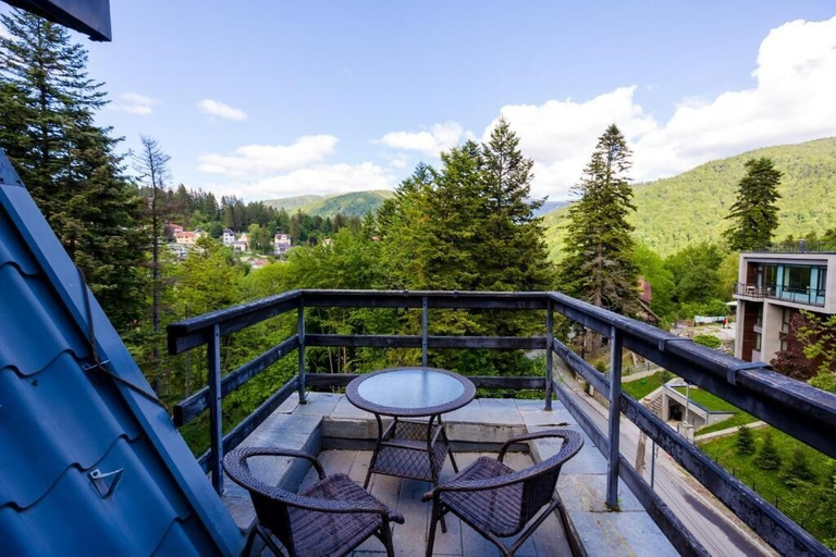 Others 3, Hotel Smart, Sinaia