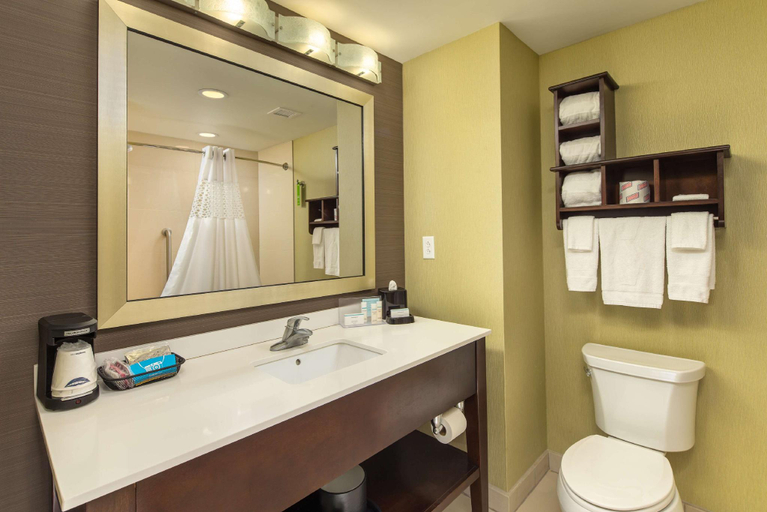 Bathroom 4, Hampton Inn & Suites Chattanooga/Hamilton Place, Hamilton