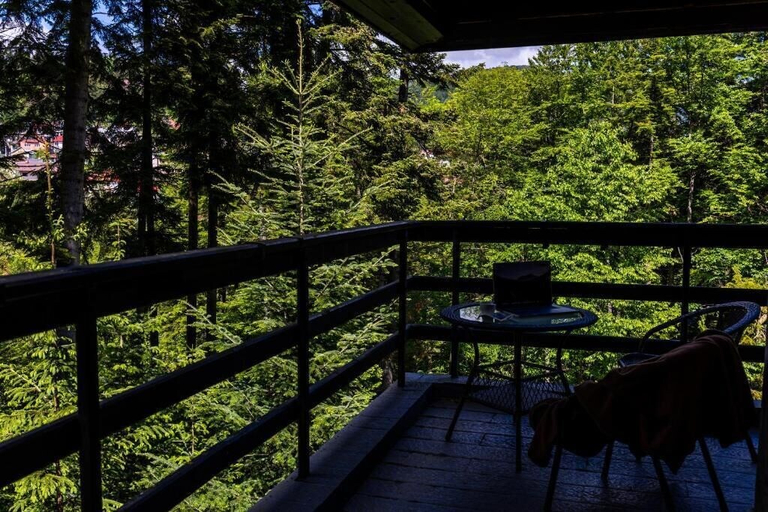 Others 4, Hotel Smart, Sinaia