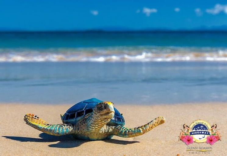 Others 4, Emu Park Beach Resort, Livingstone - Pt B