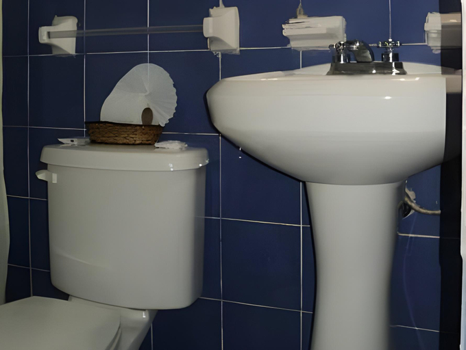 Bathroom 4, Hotel Trianon, Veracruz