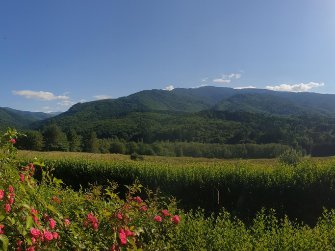 Others 3, Valea Doamnei, Nucsoara