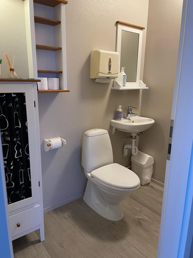 Bathroom, Tangahus Guesthouse, Bæjarhreppur