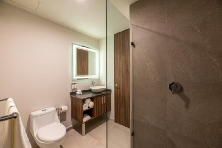 Bathroom 4, Holiday Inn TULUM by IHG, Cozumel