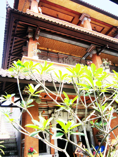 Exterior 11