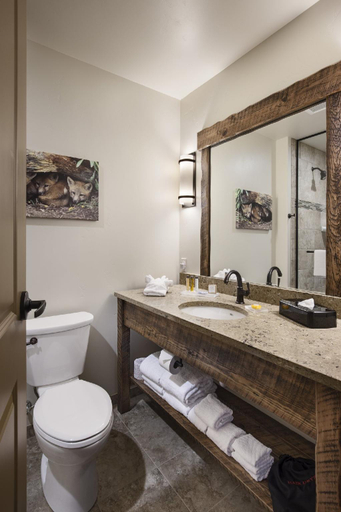 Bathroom 5, Glacier International Lodge, Flathead
