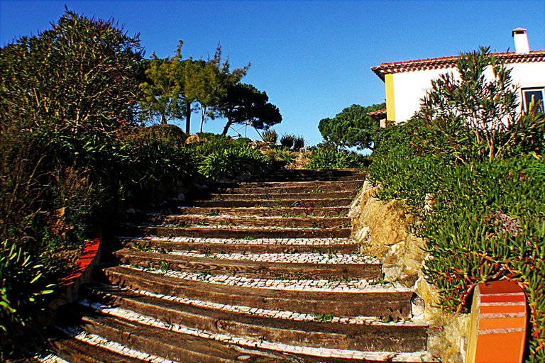 Others 4, Quinta da Torre de Óbidos - Country House, Óbidos