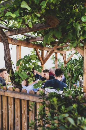 Food & Drinks 3, Weingut Peter Grill, Leibnitz