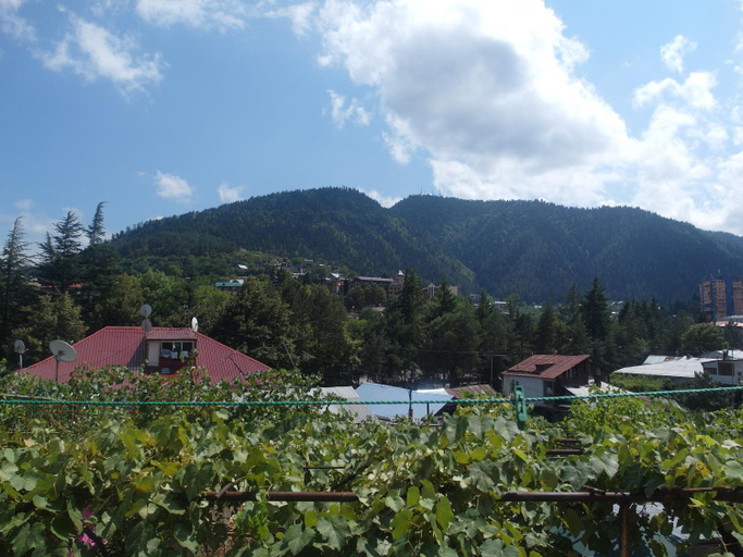 Others 5, Villa Lazika, Borjomi