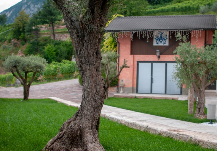 Exterior & Views 2, Agritur Mas Dei Chini, Trento