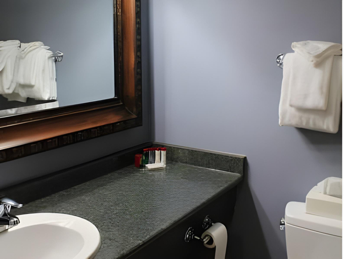Bathroom 3, Quality Inn & Suites, Yukon