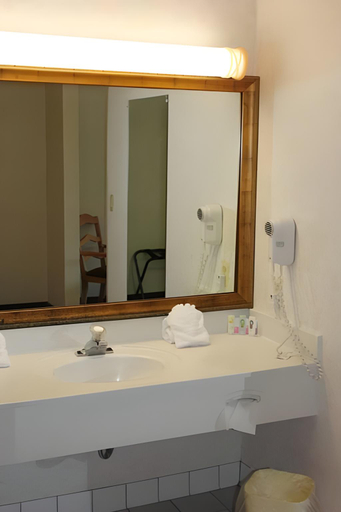 Bathroom 4, Comfort Inn Port Huron, Saint Clair