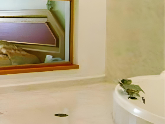 Bathroom 5, San Juan Park Hotel, San Juan del Río