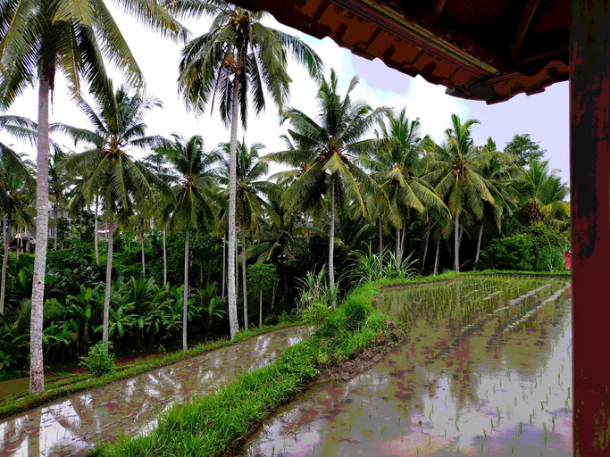 Scenery 13