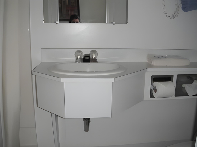 Bathroom 3, The Sierra Motel, Grand Traverse