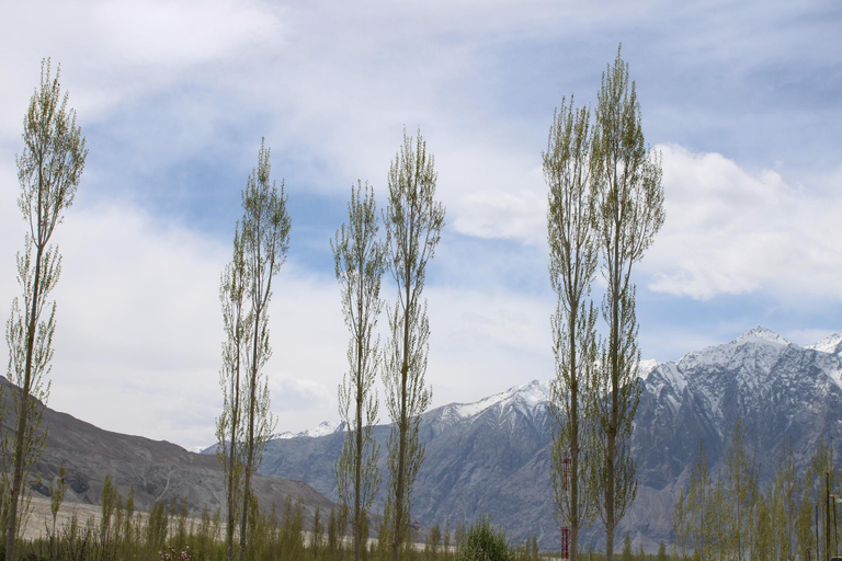 Others 5, Skayil Guest House, Leh