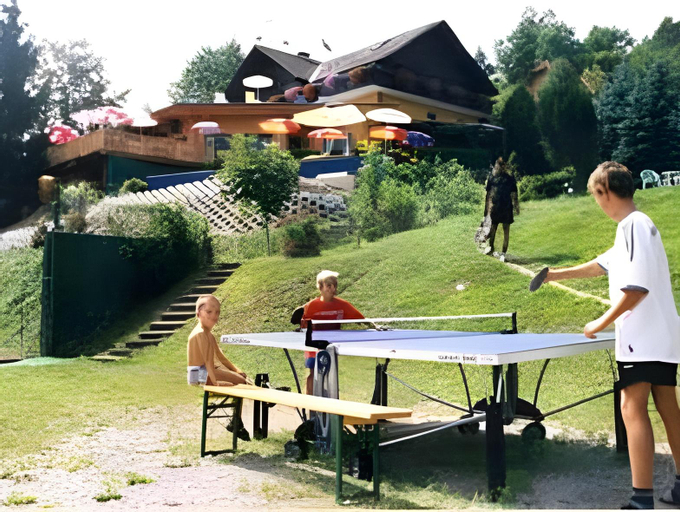 Others 4, Hotel Pension Stadlhuber Aktivpark Kremsmunster, Steyr Land