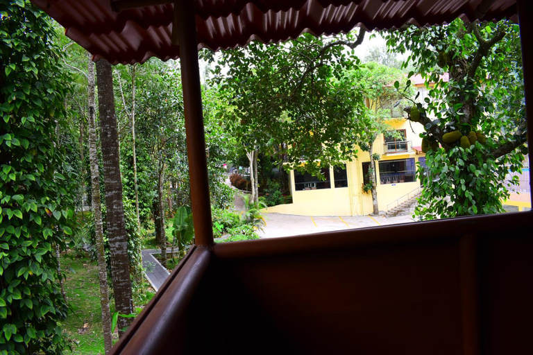 Others 5, The Brook - Resorts & Spa - Yercaud, Salem