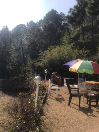Others 5, HOTEL Golden Pine villa, Solan