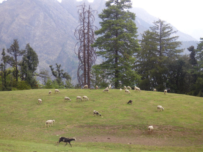 Others 4, Vansh Green View Homestay, Kullu