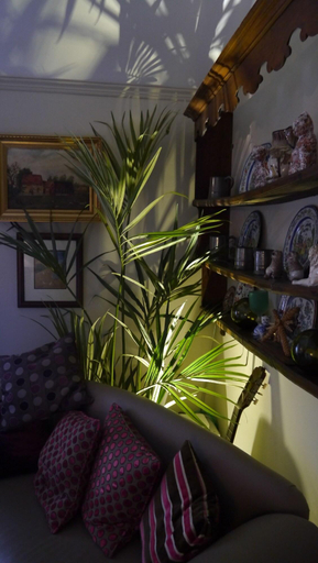 Public Area, Downton Lodge Country Guest House, Devon
