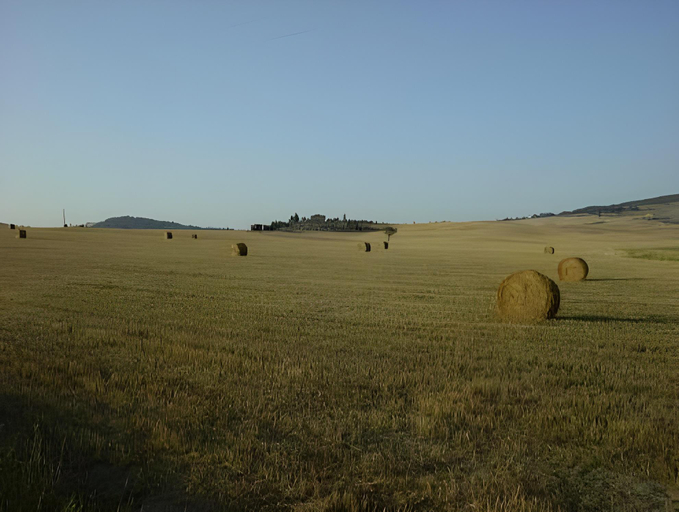 Others 4, Le 7 Camicie, Siena