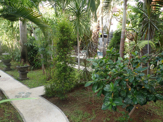 Scenery 14