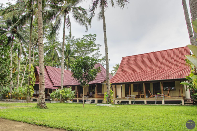 Exterior 2
