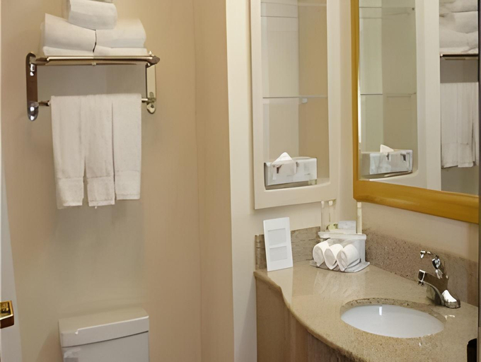 Bathroom 3, Holiday Inn Express San Angelo By IHG, Tom Green