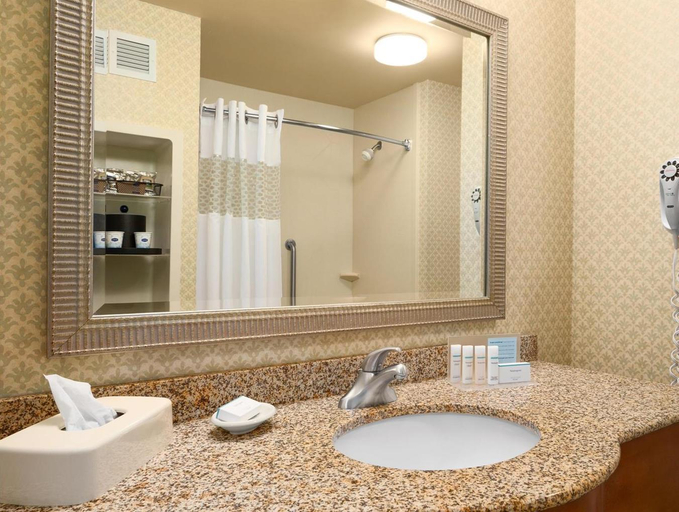 Bathroom 5, Hampton Inn Athens, Athens