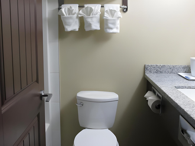 Bathroom 3, Sigma Inn & Suites, Division No. 5