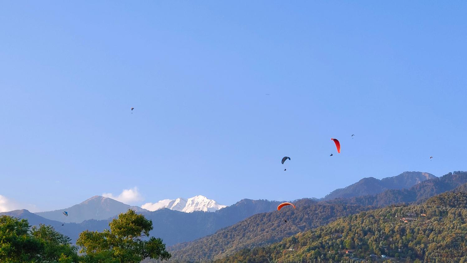 Others 4, Puri Room's The love birds nest in bir Billing , Kangra