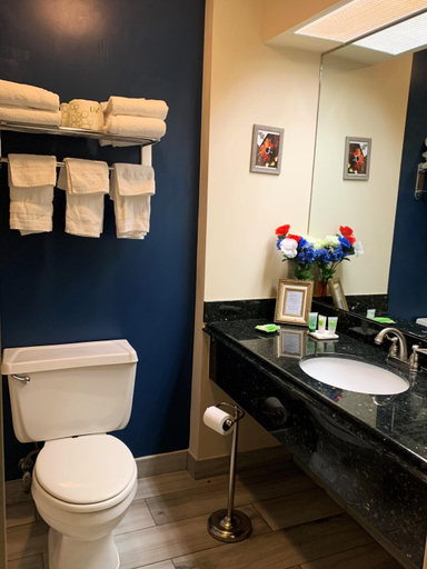 Bathroom 4, The Lodge At Jackson Village, Carroll