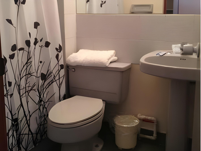 Bathroom 2, ホテル サン フランシスコ デ ラ セルバ, Copiapó