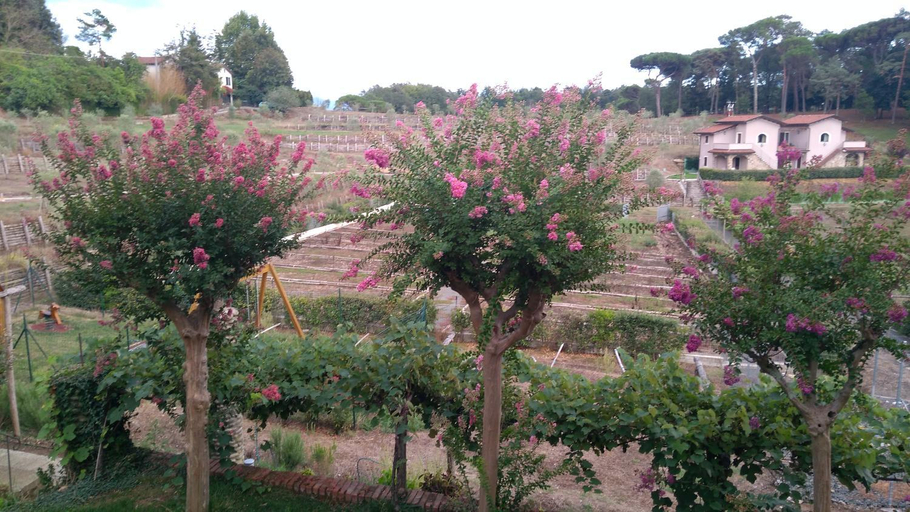 Scenery 4