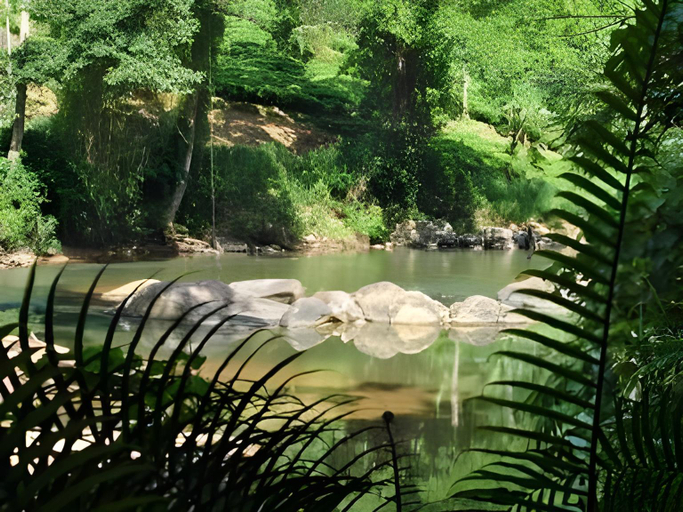 Others 3, 360 Rainforest , Kotapola
