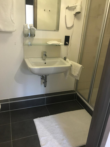 Bathroom 3, Hotel Friedrich, Westerwaldkreis