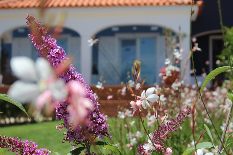 Others 3, HappySintra GuestHouse, Sintra
