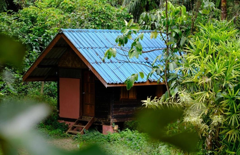 Others 3, Khao Sok Silver Cliff Resort, Phanom