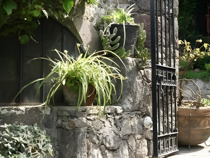 Others 5, Casa Liza, Allende