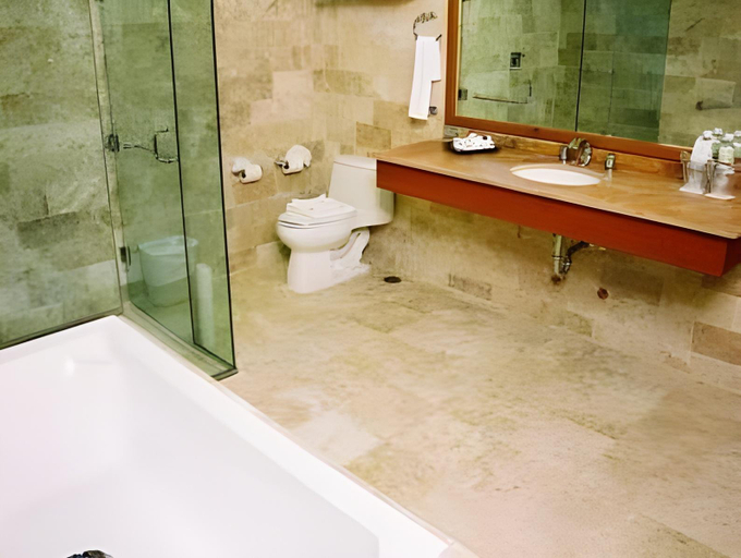Bathroom 3, Hotel Olmeca Plaza, Centro