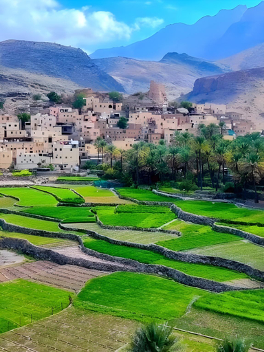 Others 4, Guest house baladsayt , Al Hamra