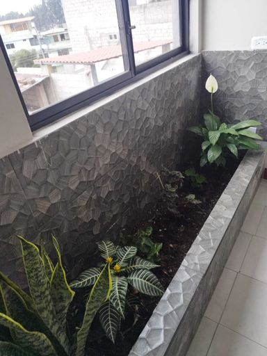Bathroom 3, Hostal Terranova Quitumbe, Quito