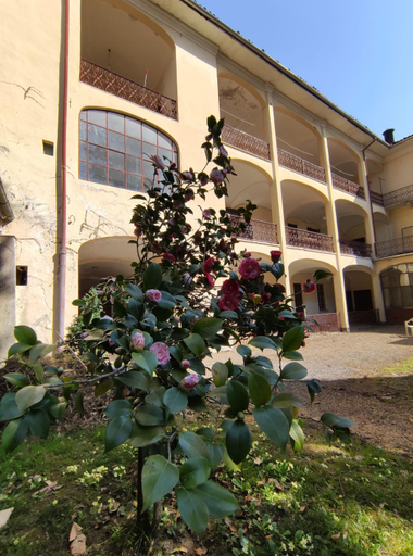 Casa Valduggia, Vercelli
